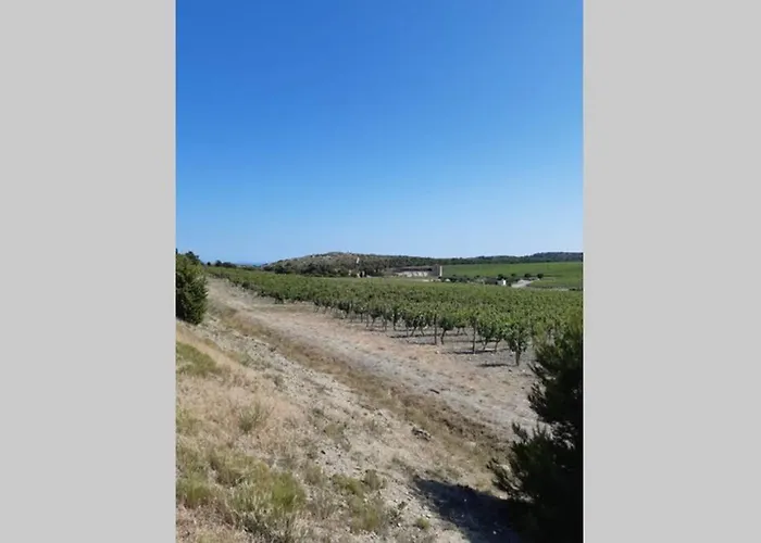 Calme Entre Terre Et Proche Daire Fleury (Aude)
